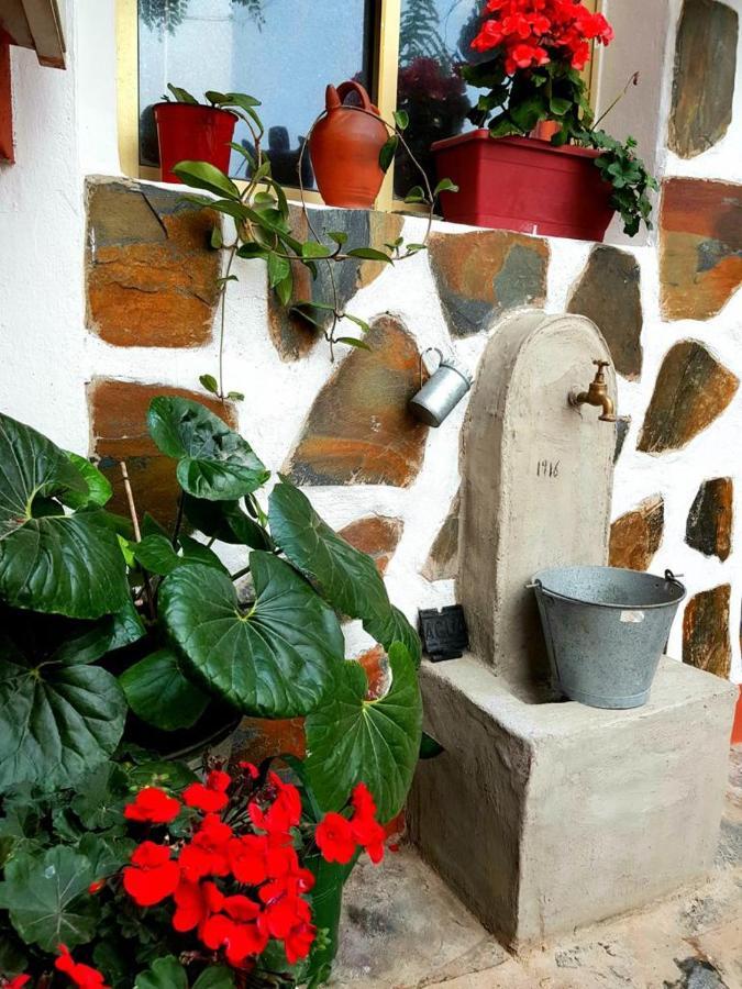 Vivienda Vacacional Ca Na Paula La Orotava Exterior foto