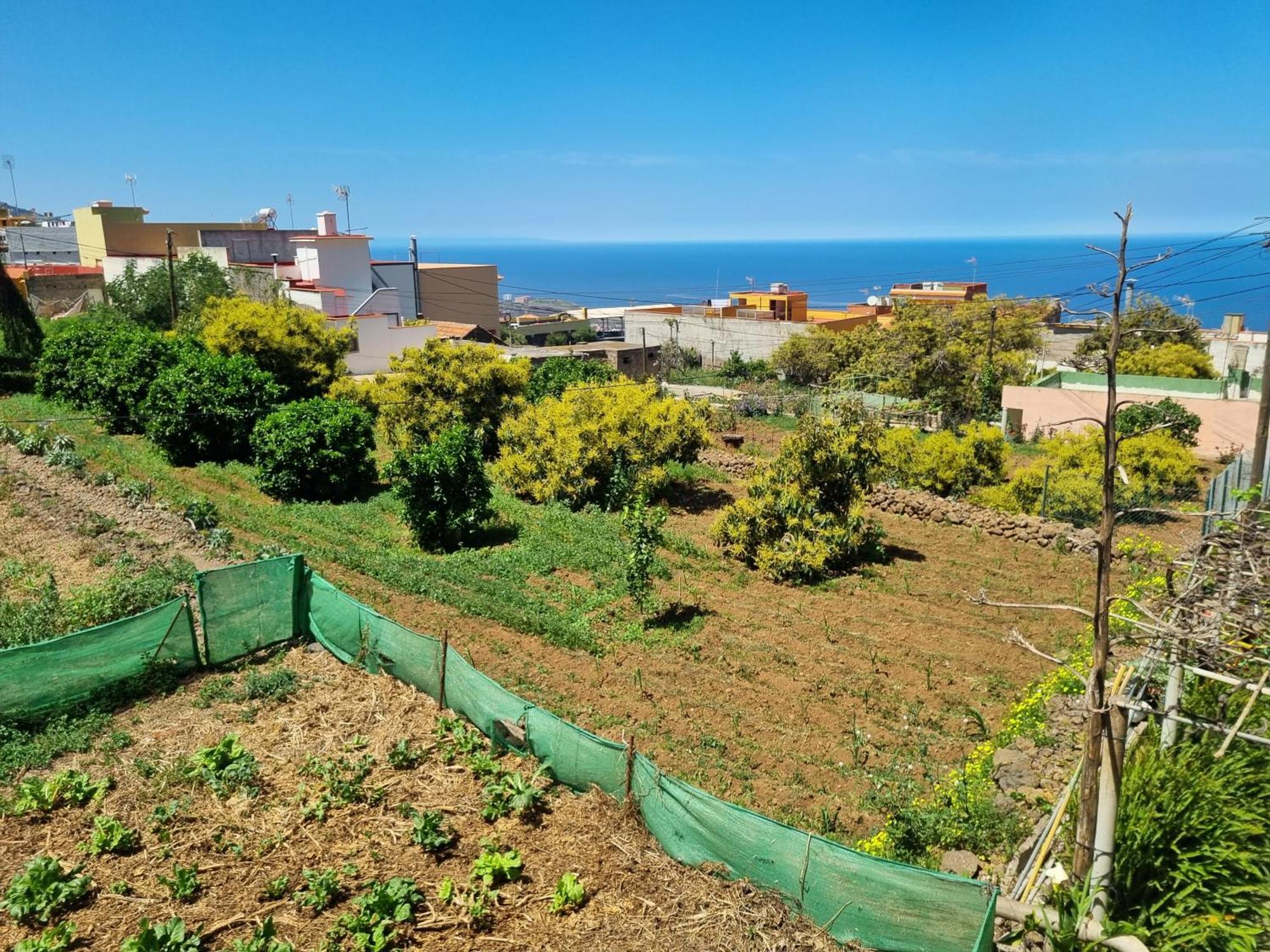 Vivienda Vacacional Ca Na Paula La Orotava Exterior foto
