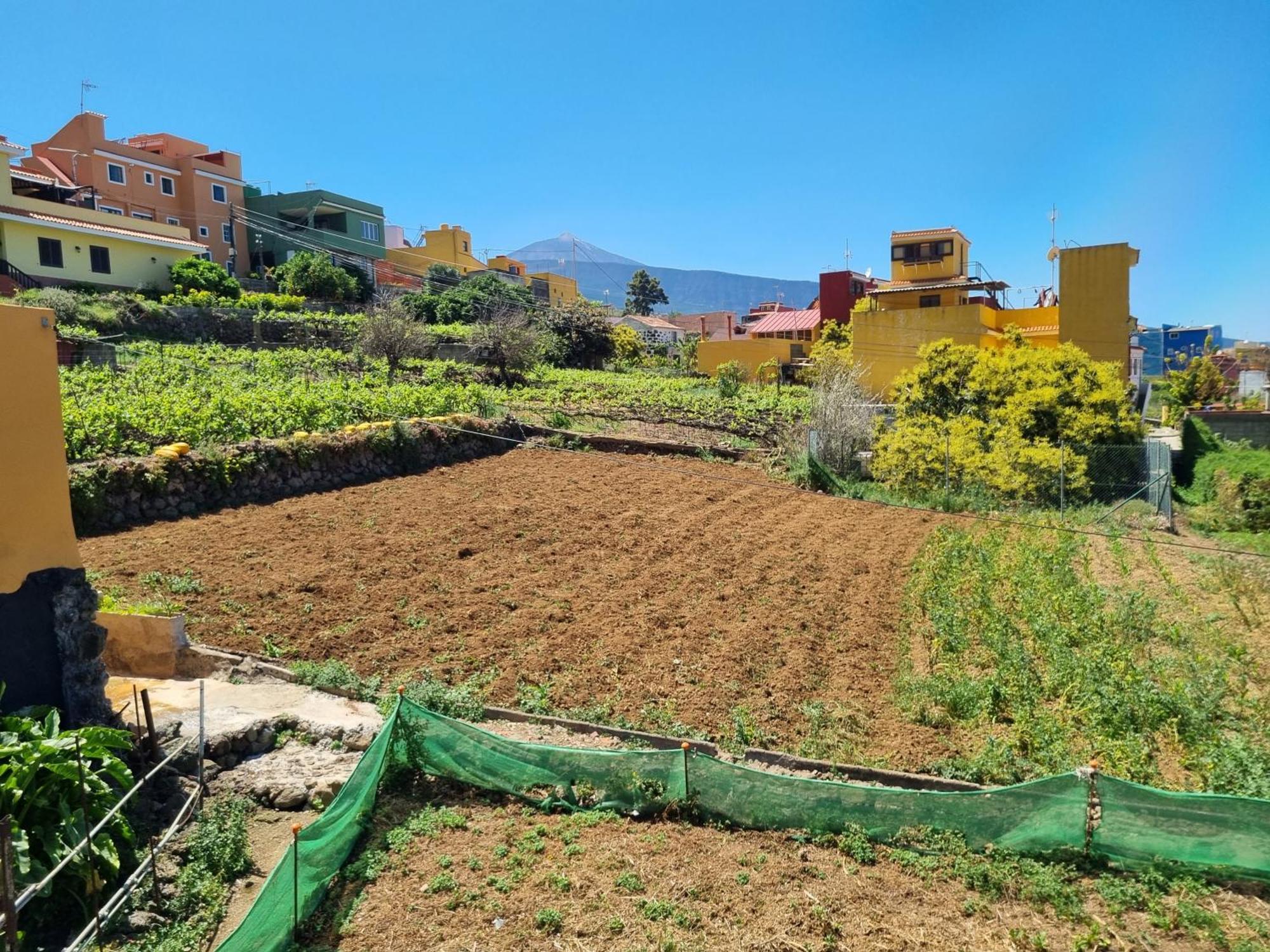 Vivienda Vacacional Ca Na Paula La Orotava Exterior foto